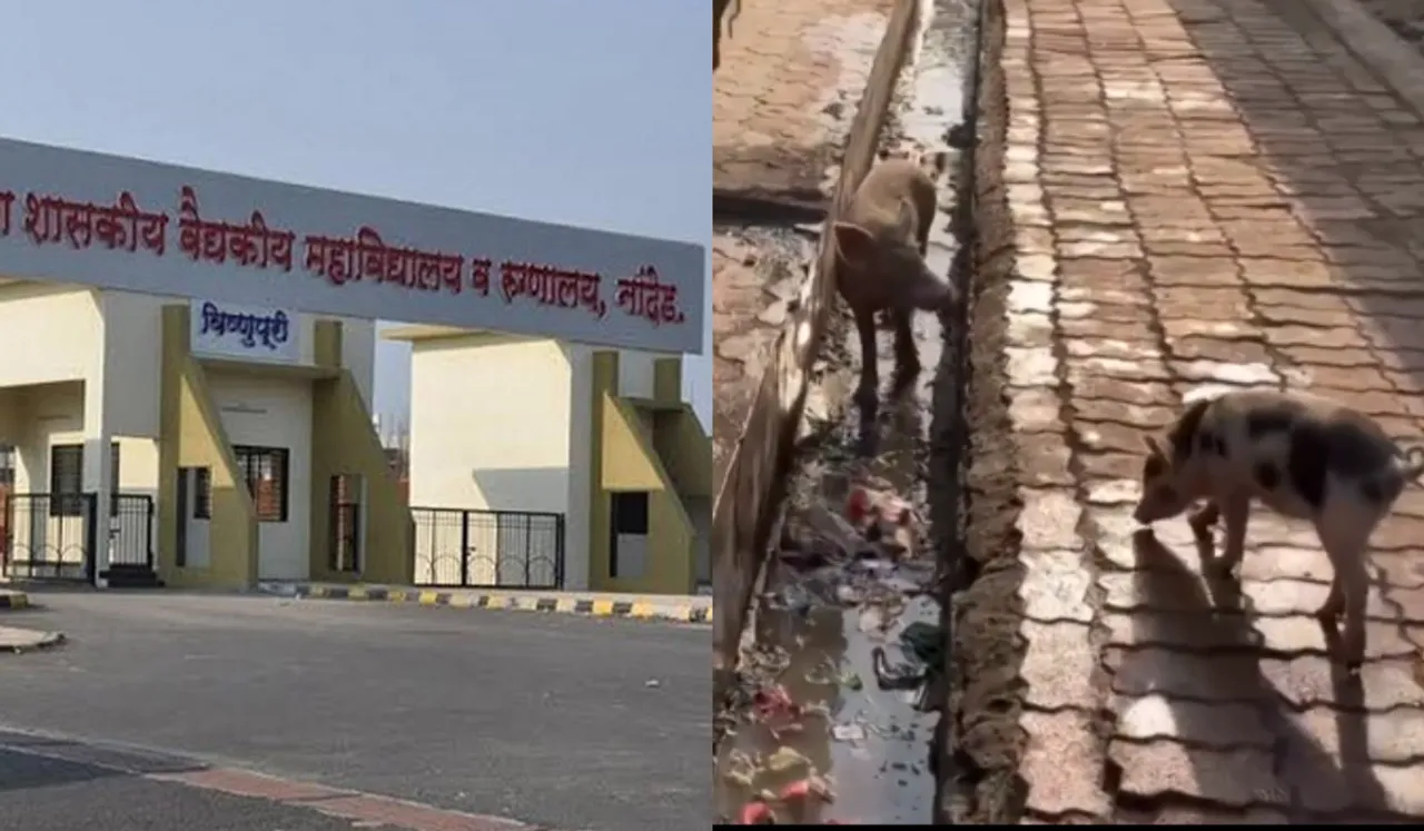 37 Die In 4 Days At Nanded Govt Hospital: Pigs And Dirt Seen On Site