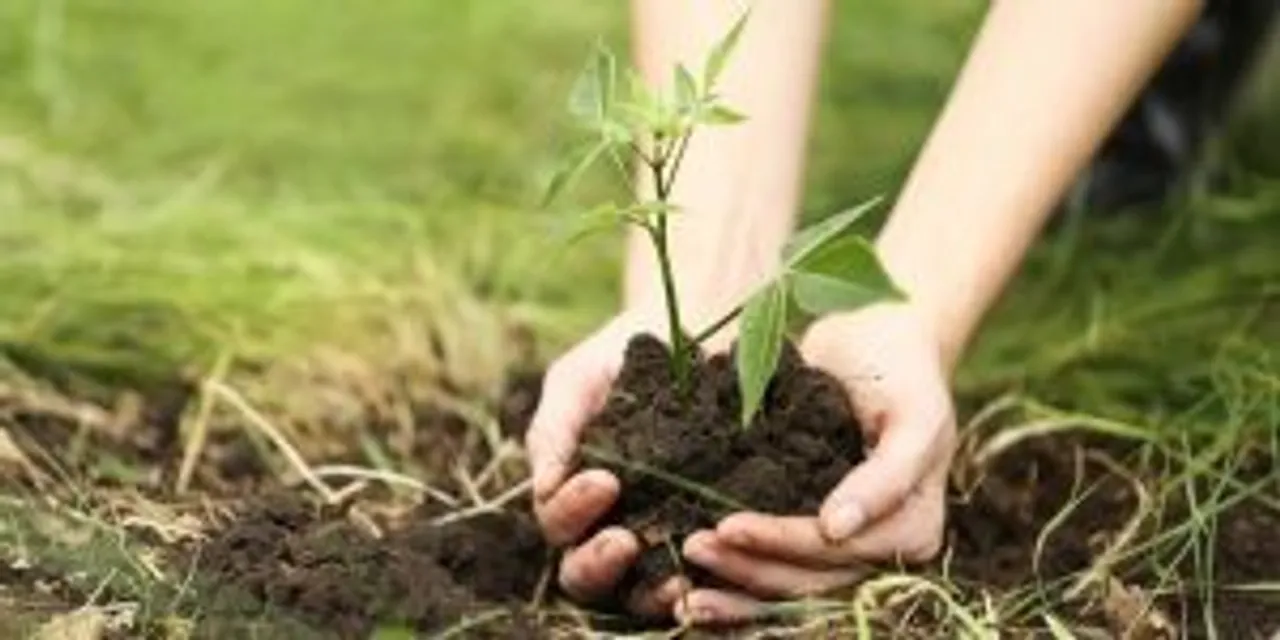 World Environment Day: Simple Ways to Cut Carbon Footprint