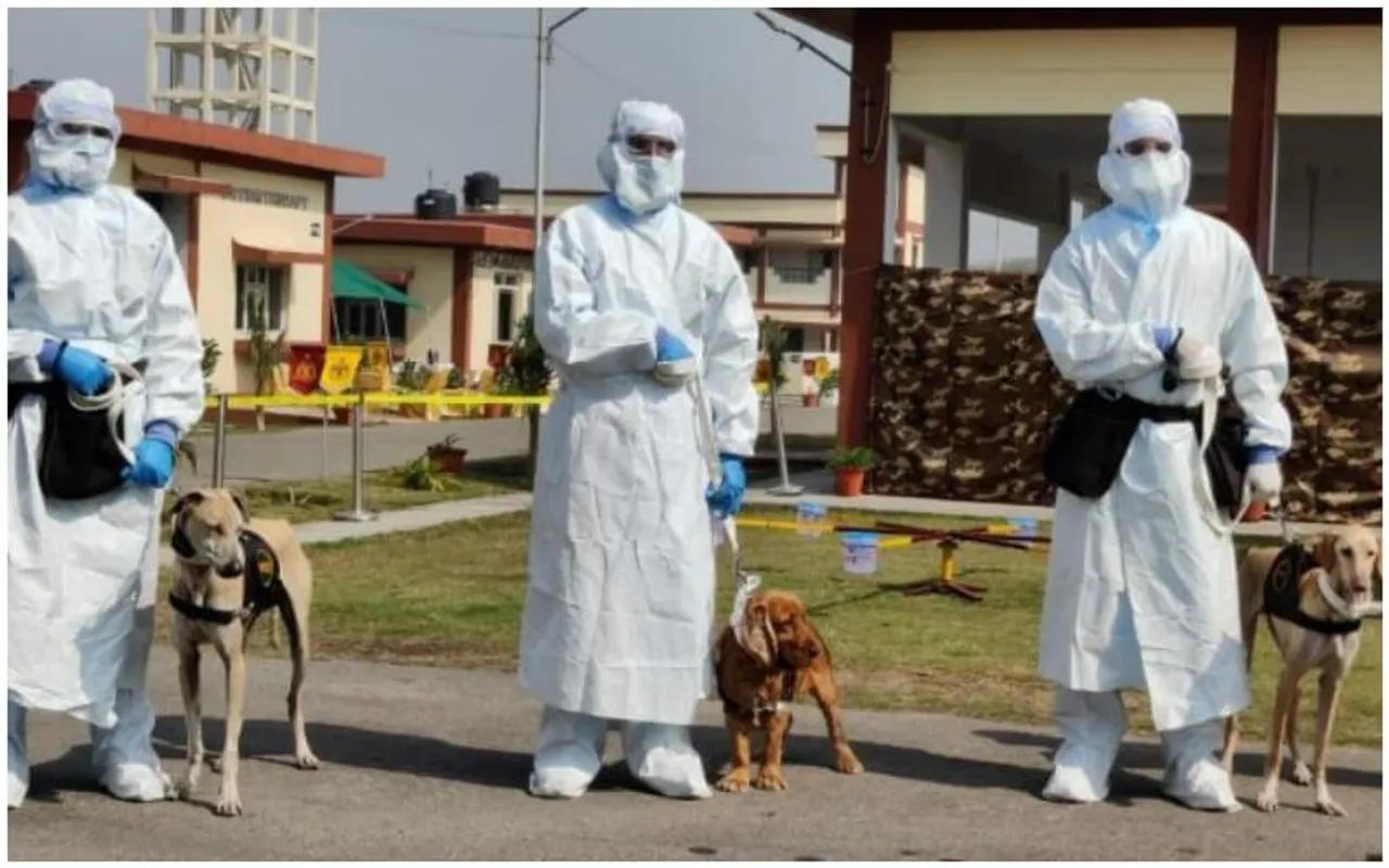 Dogs Are COVID Warriors Too! Meet Casper And Jaya, First Dogs To Sniff-Detect COVID-19