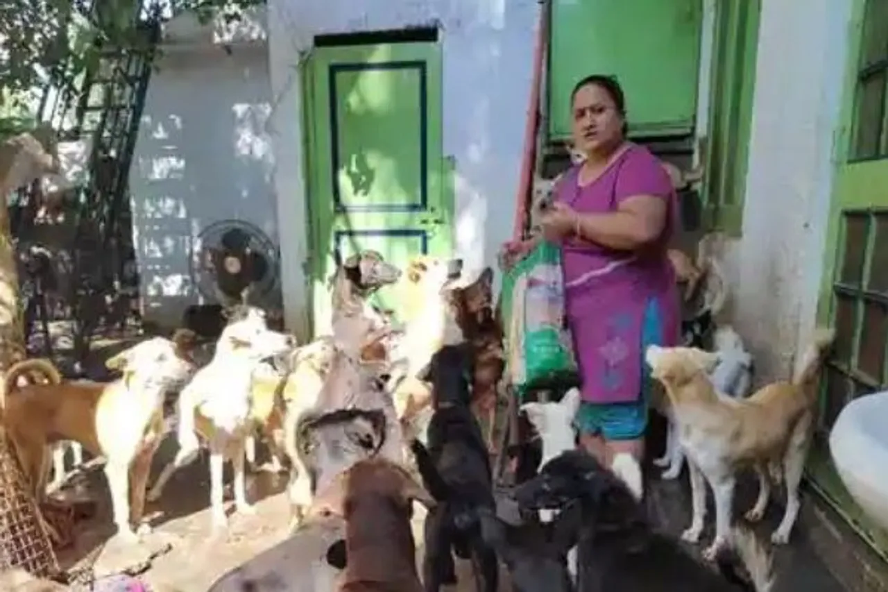 Namrata Hakhoo Who Rescued Over 368 Street Animals Seeks Help From Public