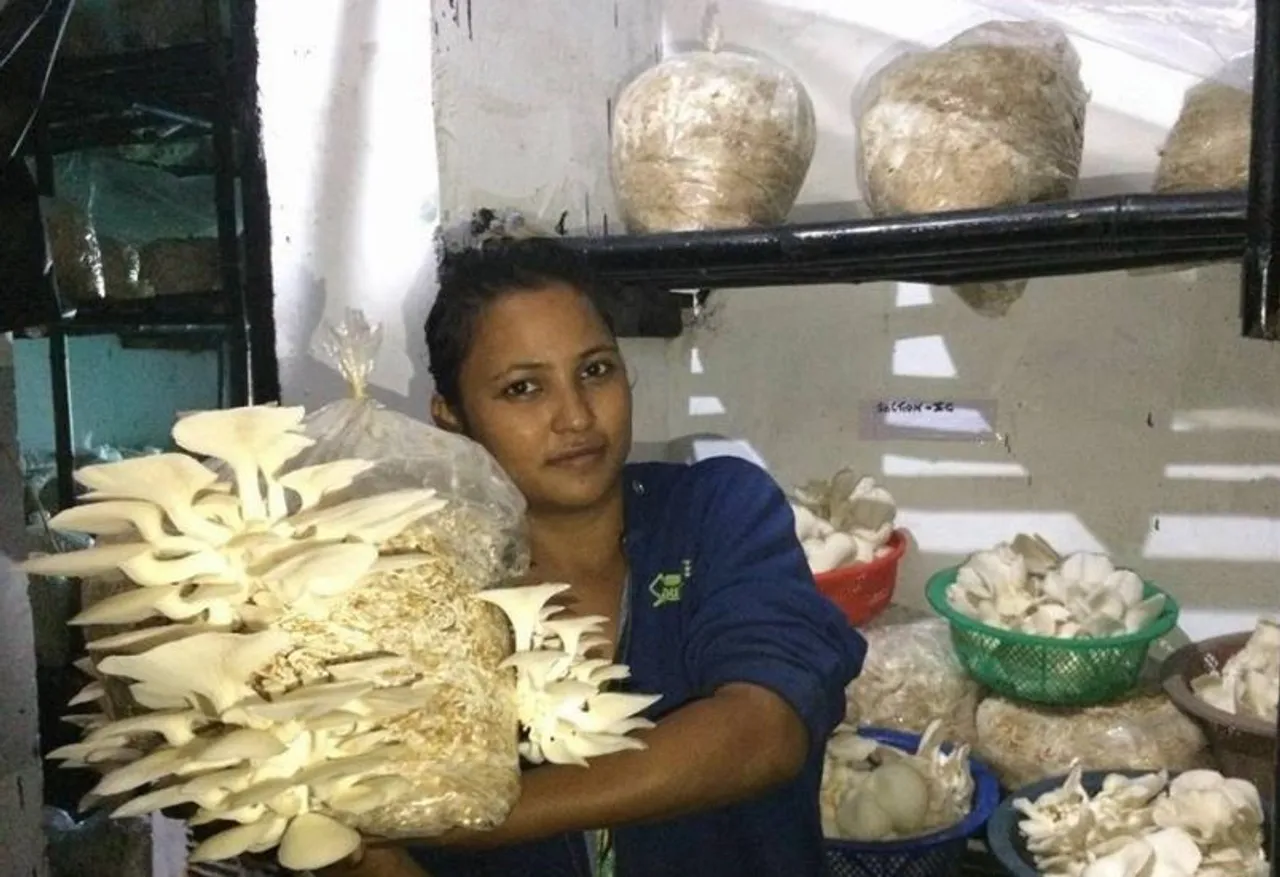 Divya Rawat Grows Mushrooms in Uttarakhand