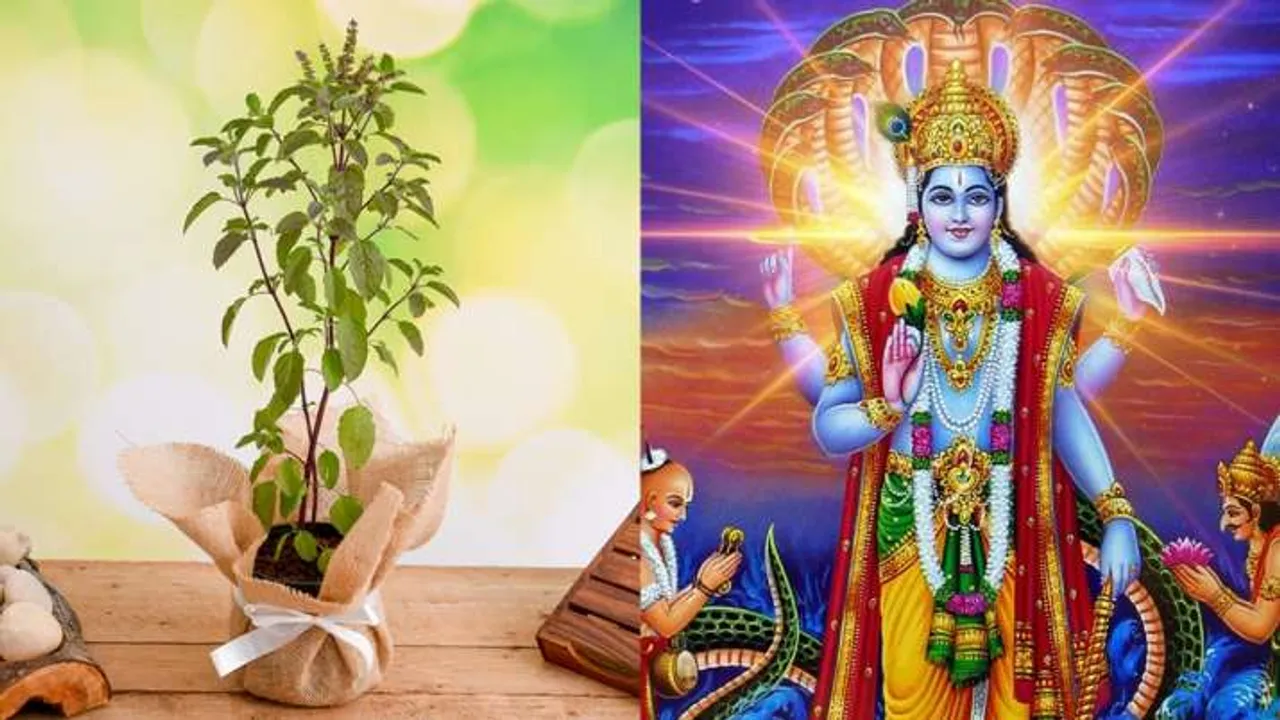 tulsi-vivah