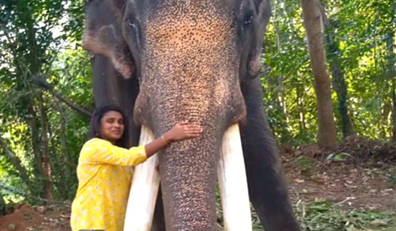 Shabna Sulaiman, First Muslim Woman From Kerala To Be A Mahout
