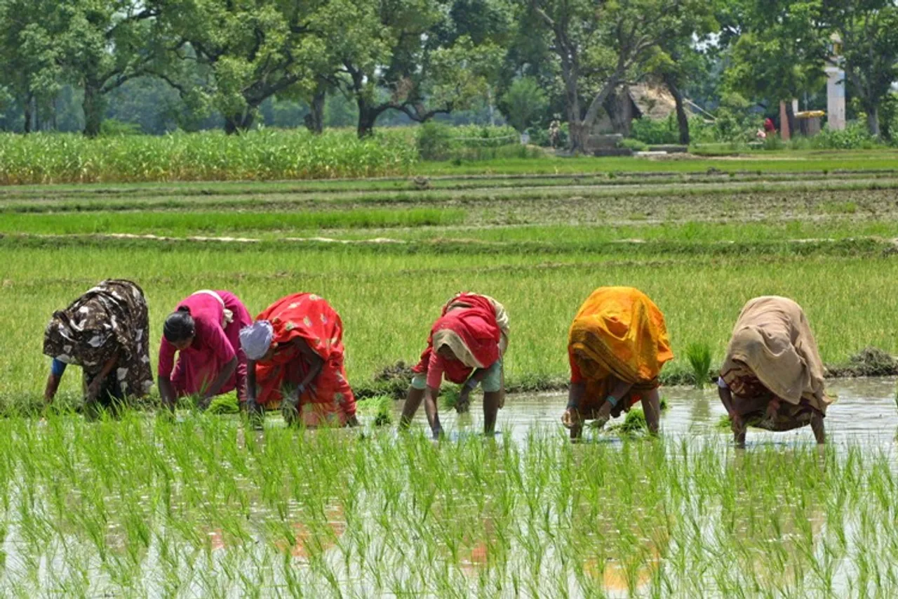 Women farmers in India, where they stand