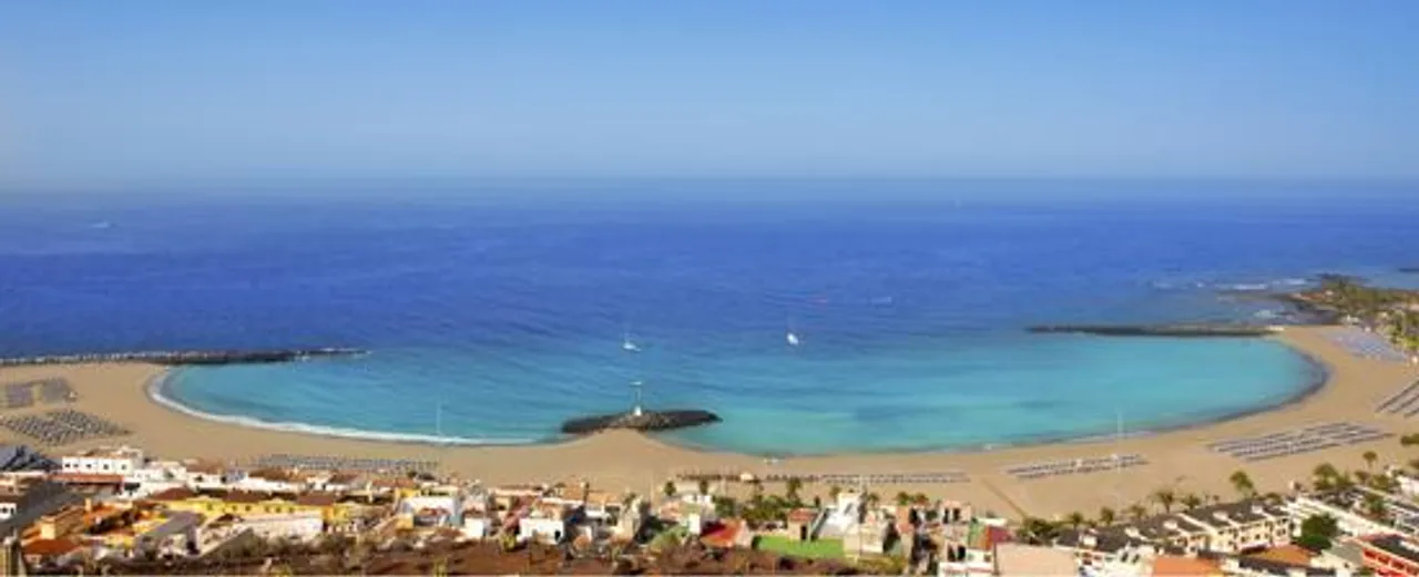 Sail close to whales and dolphins all year round in Tenerife