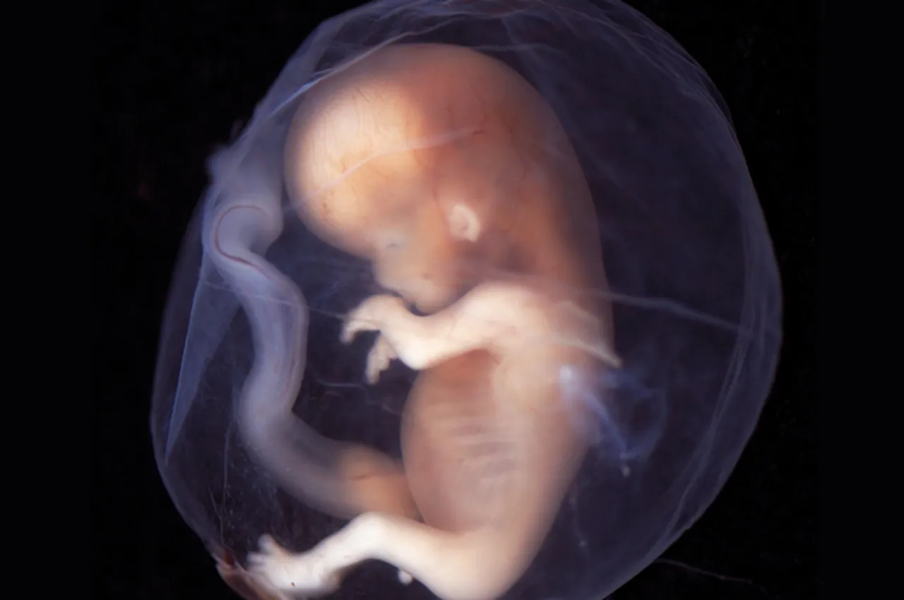 Human Embryo Modification