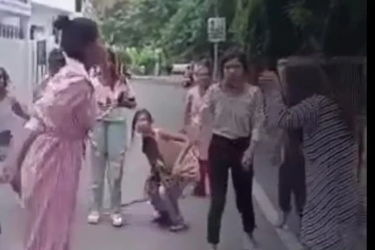 Girls fighting viral video