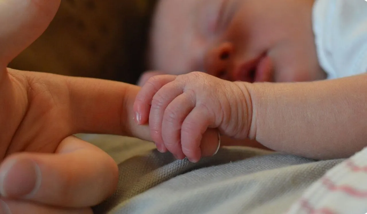 First Artificial Womb Facility