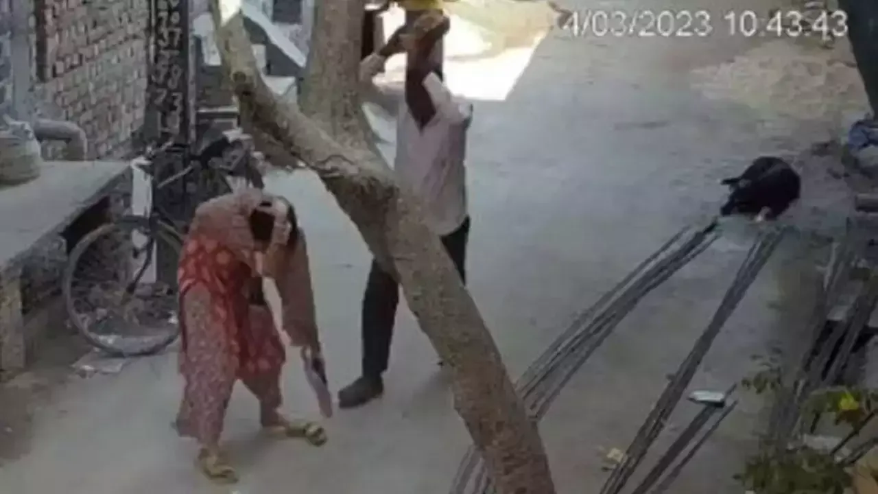 Delhi Man Assaults Daughter-In-Law