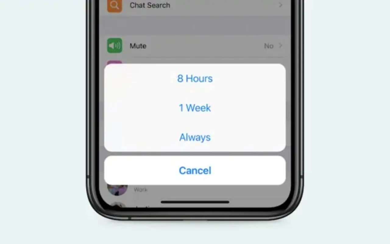 WhatsApp, forever mute feature