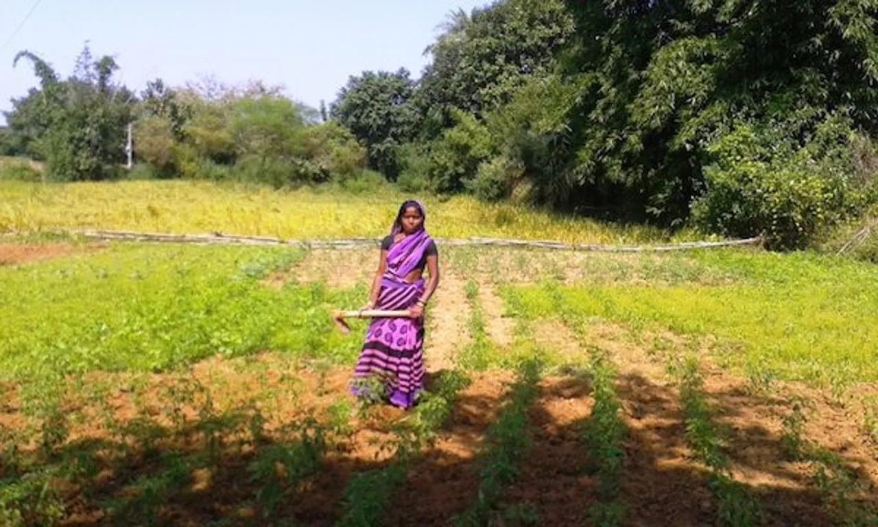 Unmarried Granddaughters Land Rights