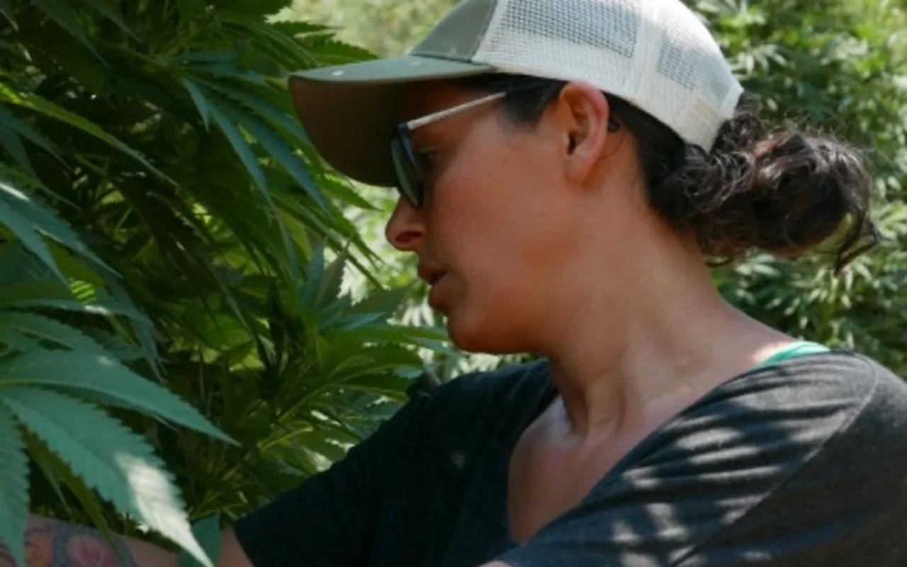 Women Centric Documentary 'Lady Buds' Deals With Businesswomen In Cannabis Industry