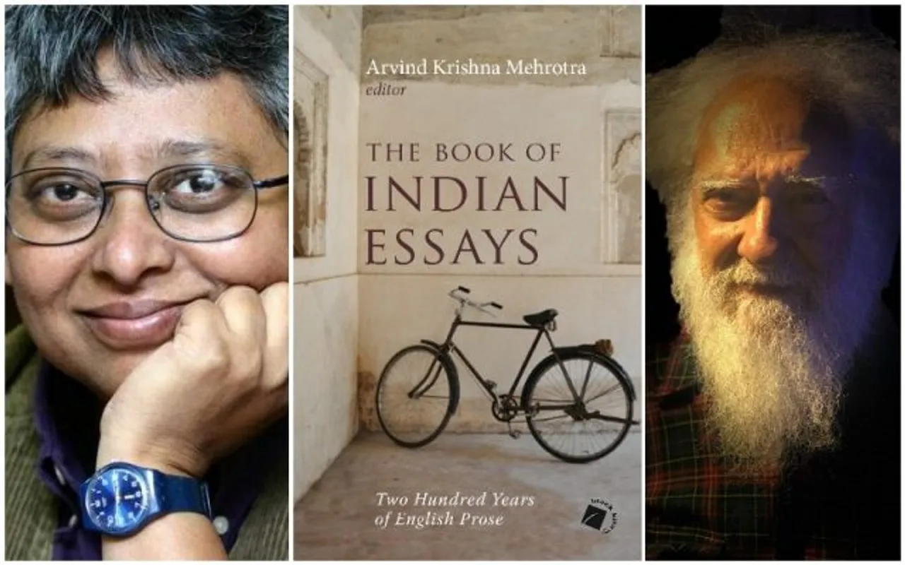 An Excerpt From Shohini Ghosh’s Essay ‘Sky Above and Grass below’ In The Book Of Indian Essays