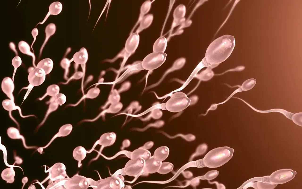 Heating Up Testicles With Nanoparticles Might One Day Be A Form Of Male Birth Control