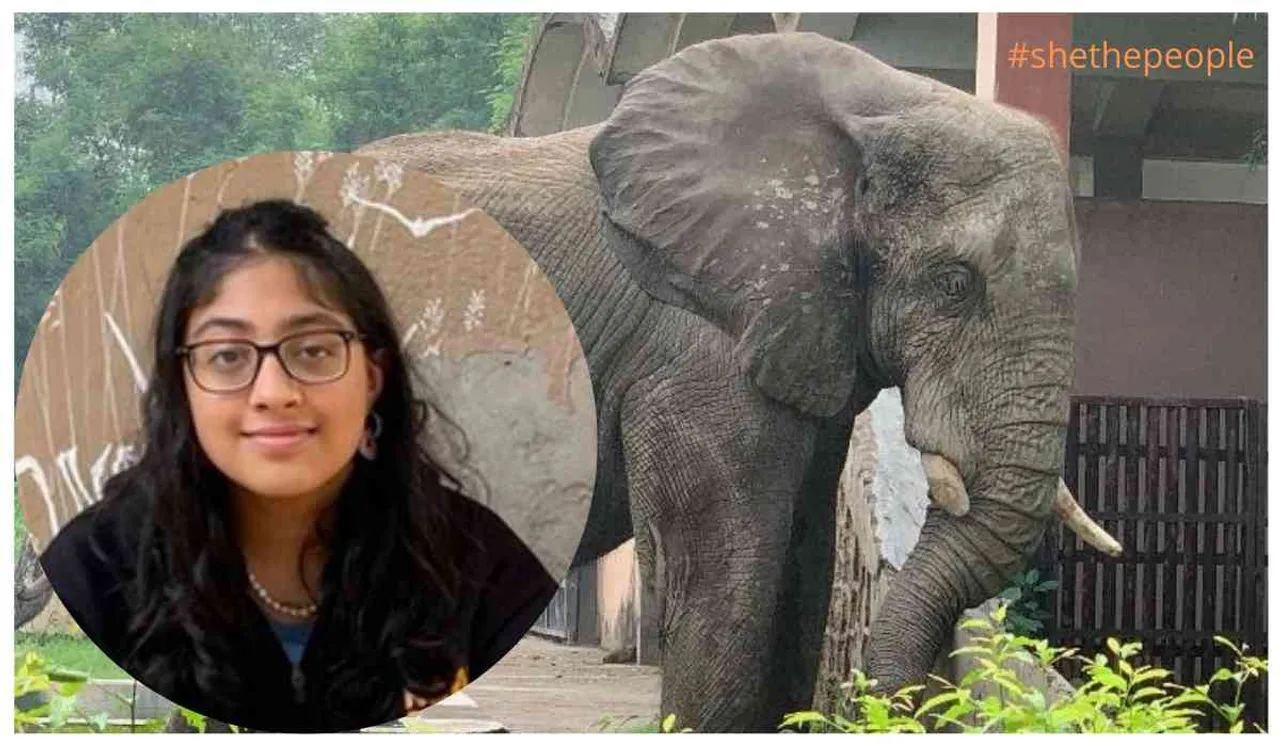 How A Teen Girl Is Leading The Fight To Free Shankar, The Lonely Zoo Elephant