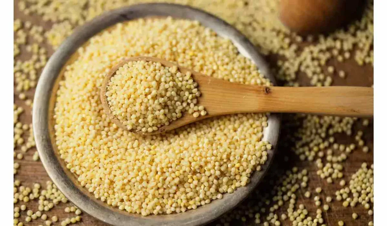 Did You Know That Foxtail Millet Is The Oldest Millet In The World?