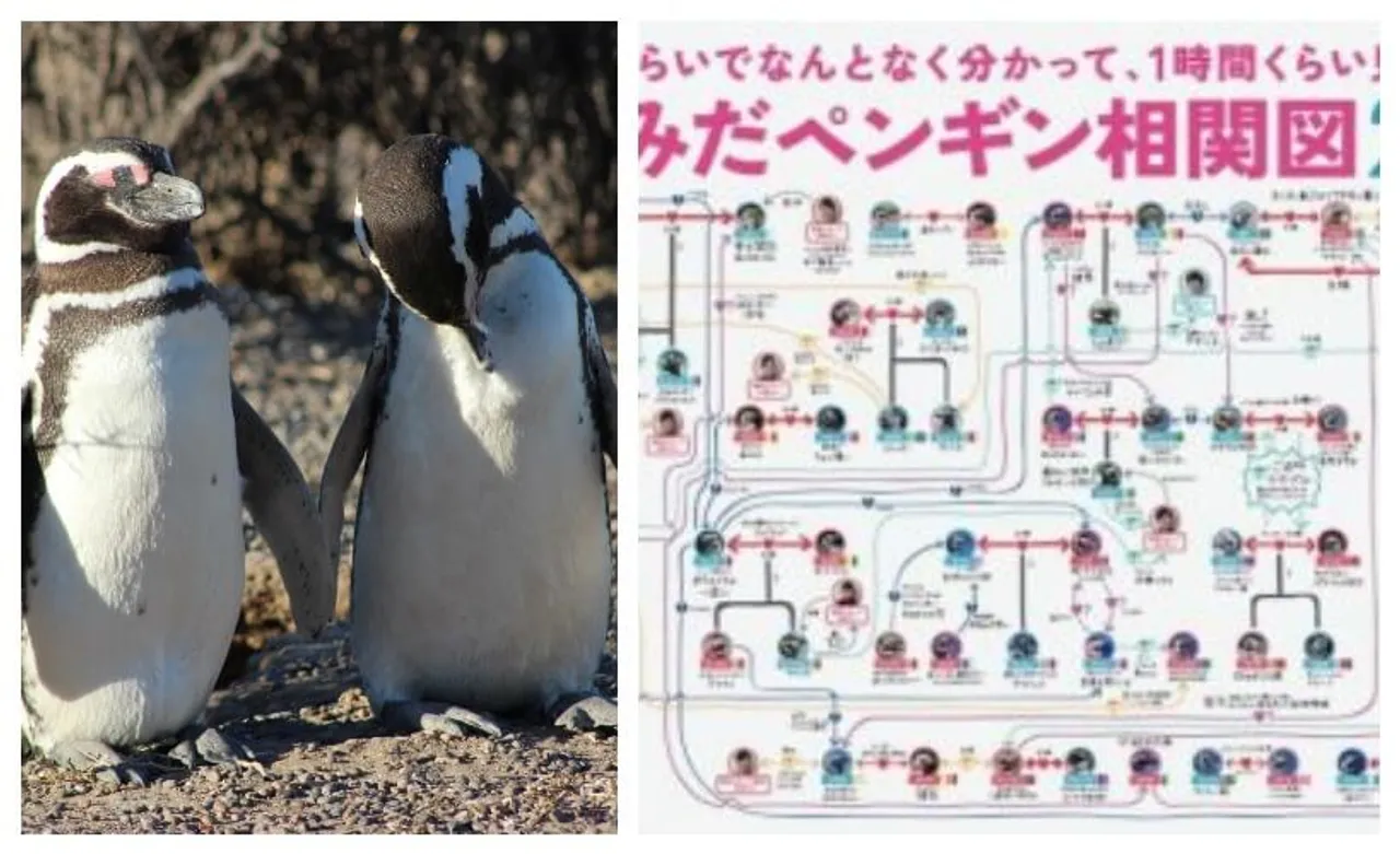 Penguins sexuality