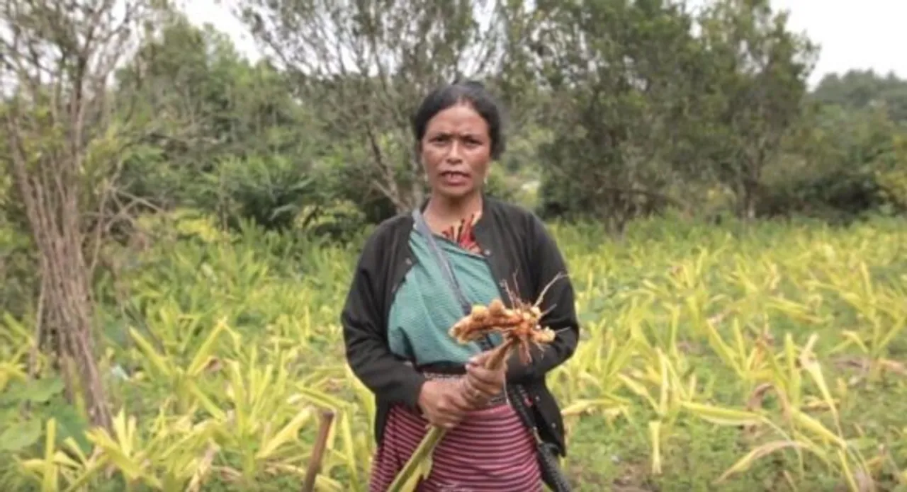 Trinity Saioo Receives Padma Shri For Leading Turmeric Farming