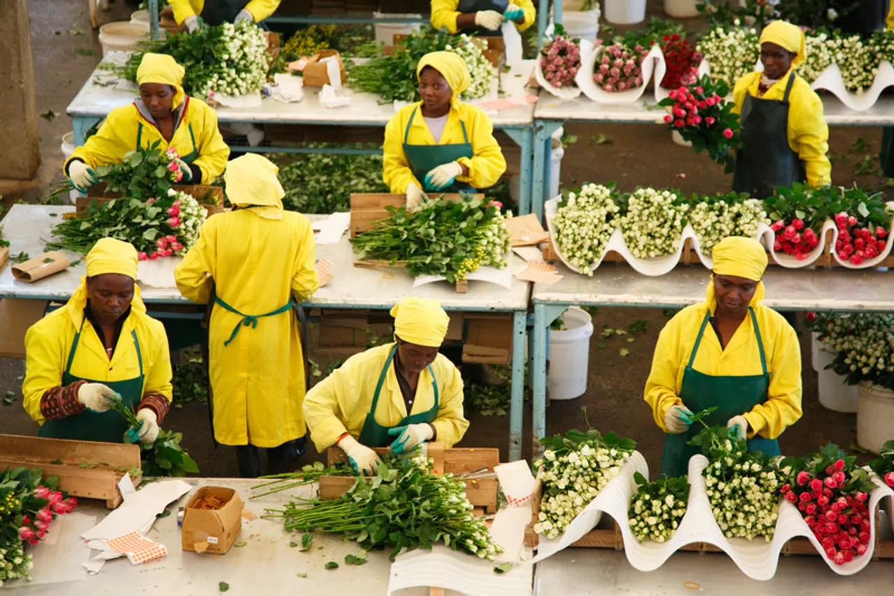 Campaign Helps Kenya Flower Industry Women Get A Better Deal
