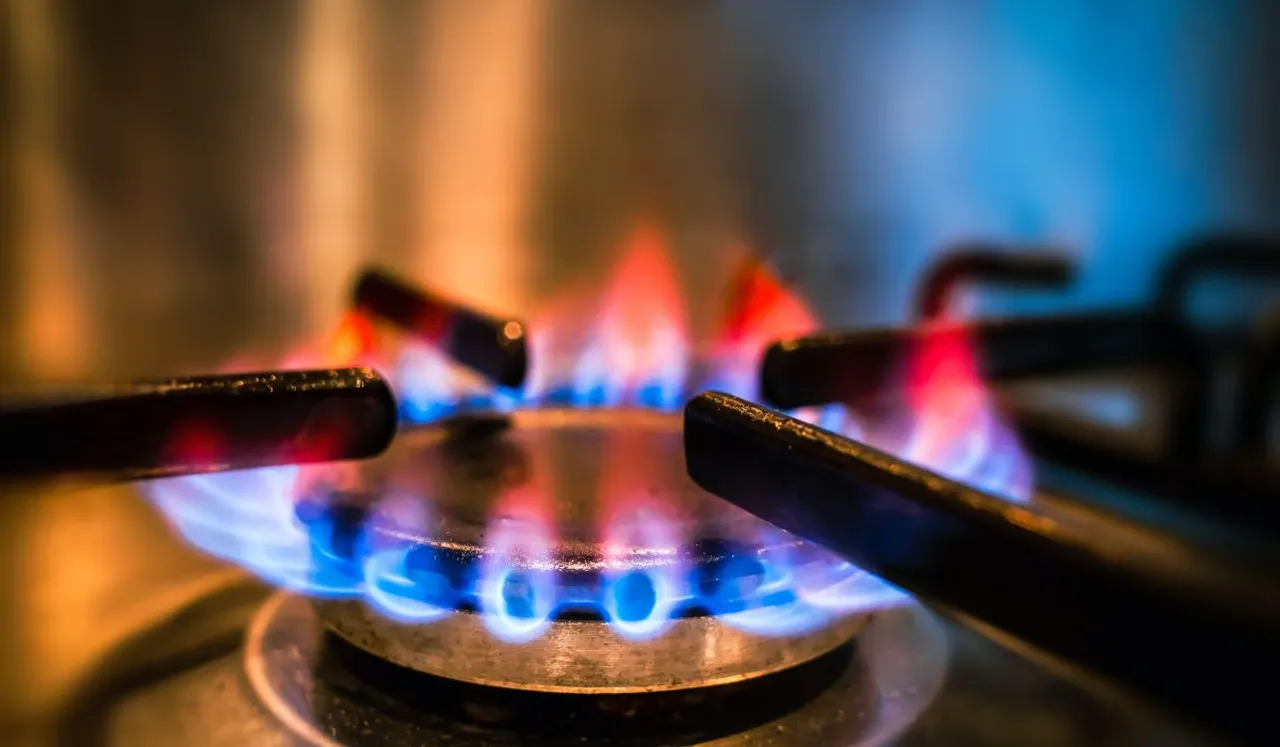 Are Gas Stoves Harmful For Health? US Government Considers Ban