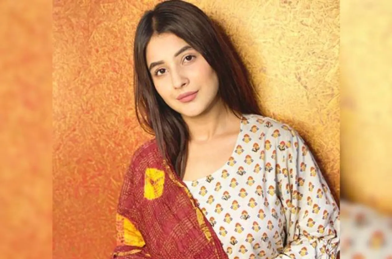All You Need To Know About Shehnaaz Gill's Upcoming Projects