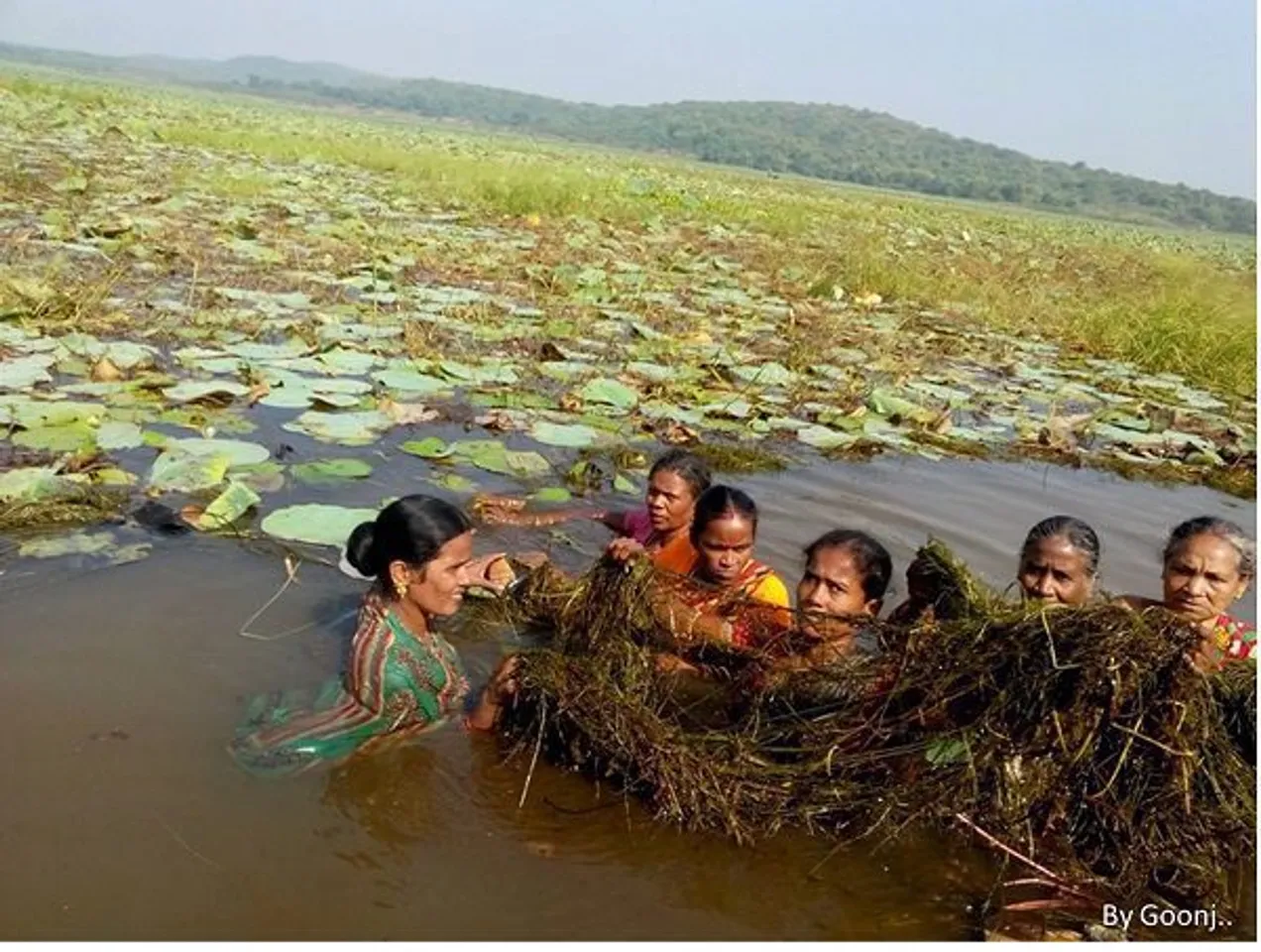 NGO Helps Women SHGs Restore Odisha's Only Freshwater Lake & Their Livelihood