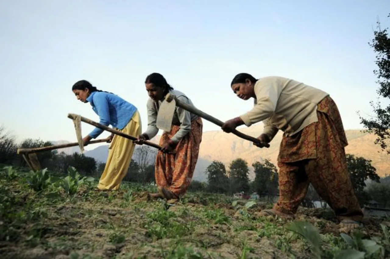 women rice farmers