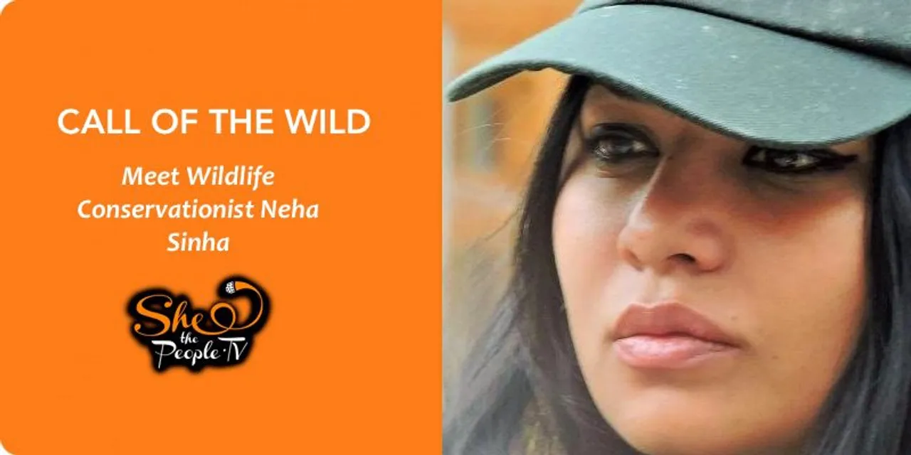 Experiencing the 'wild' side of life:  Wildlife Conservationist Neha Sinha