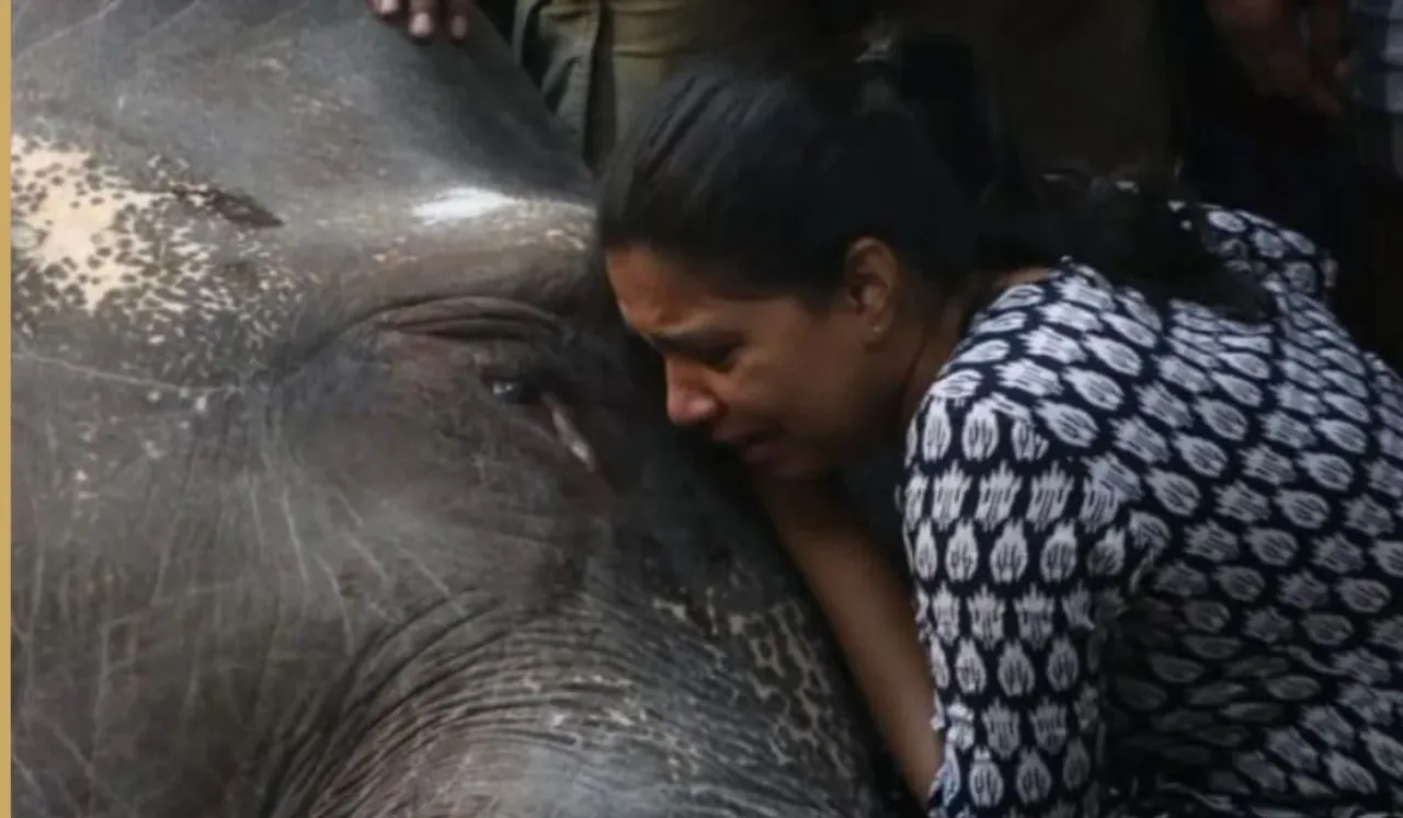 Elephant Lakshmi died
