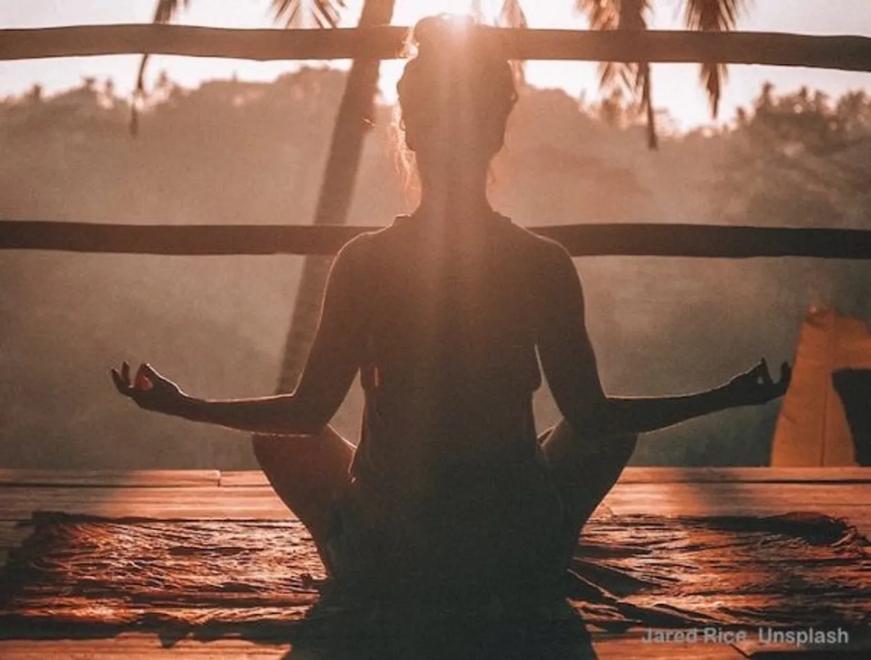 Self-Realization Sarada Chiruvolu, Monk Huddle Gayatri Jayaraman, Yoga