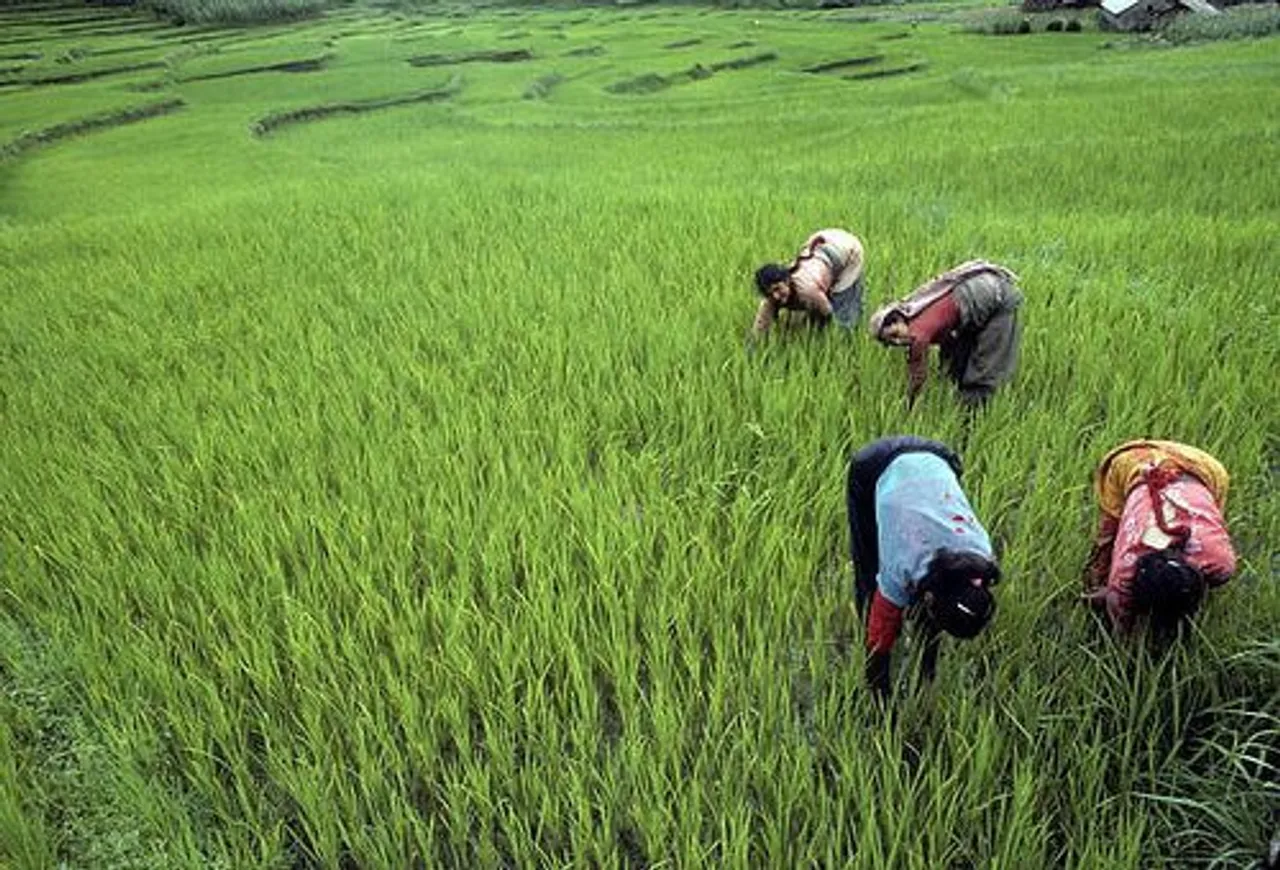 Kanpur hosts workshop on women empowerment in agriculture   