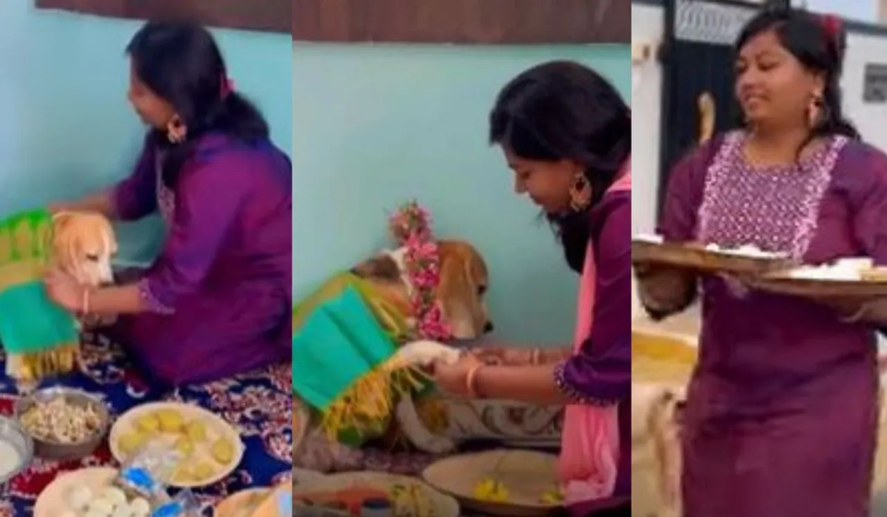 Viral Video: Woman Threw Baby Shower For Pet Dog, Netizen Can't Stop Adoring