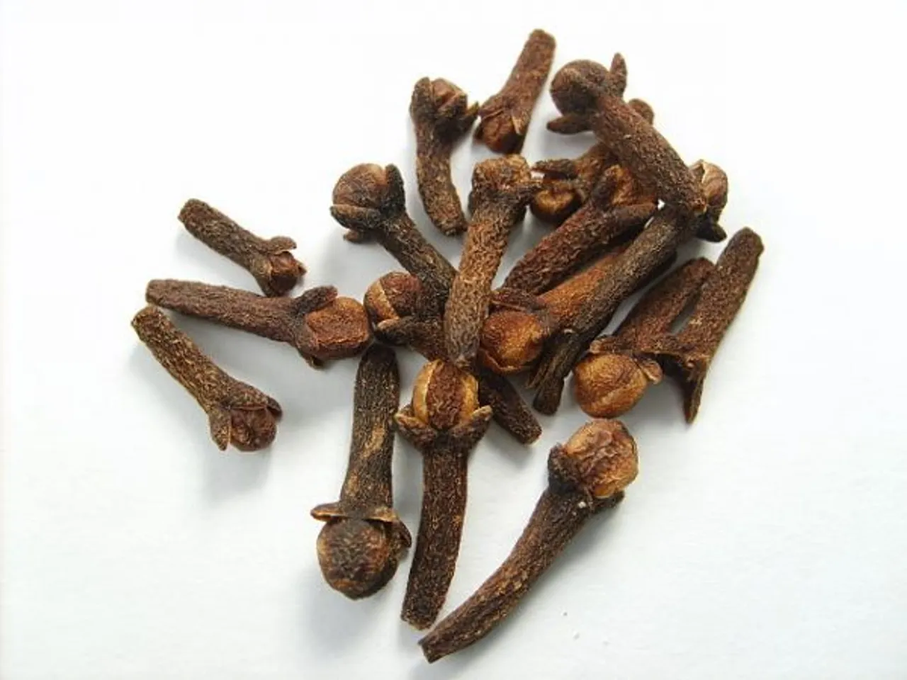 Oldest Clove