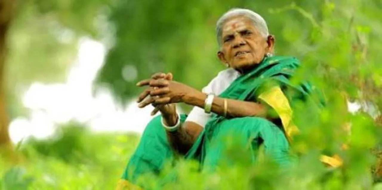 Saalumarada Thimmakka