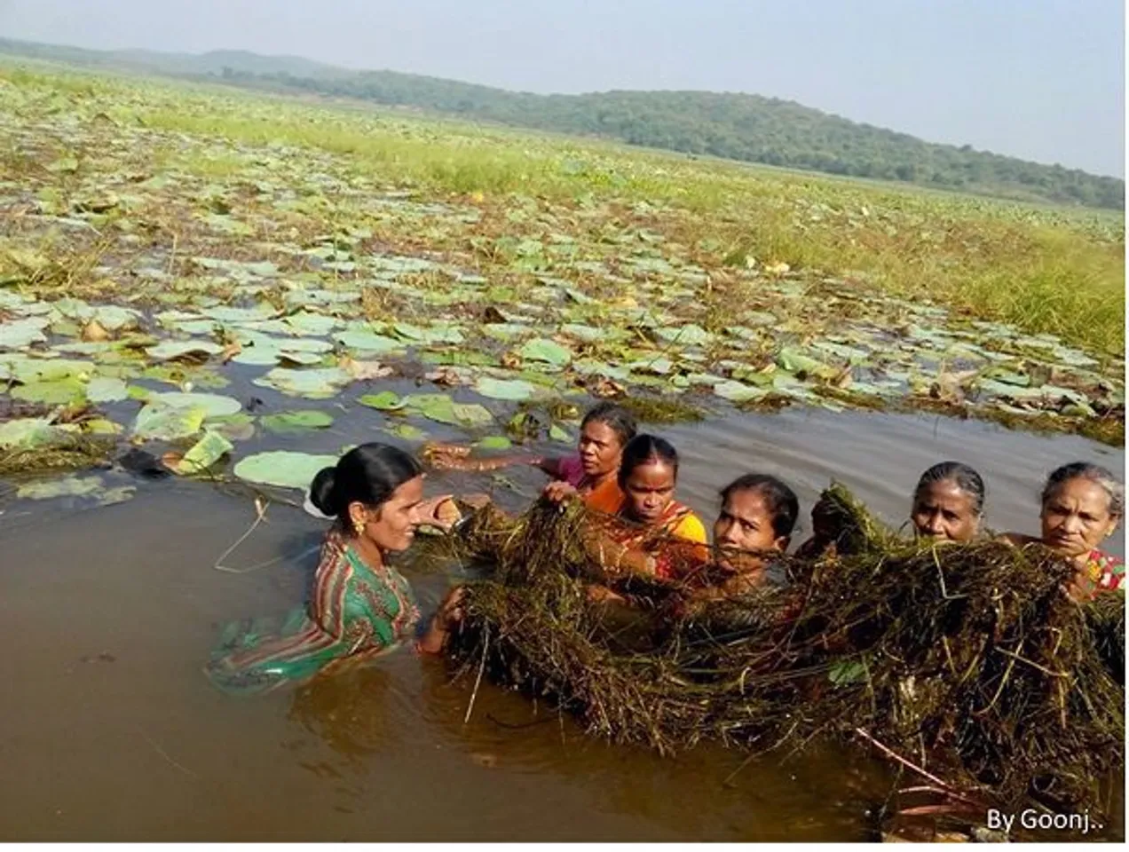 women transboundary rivers