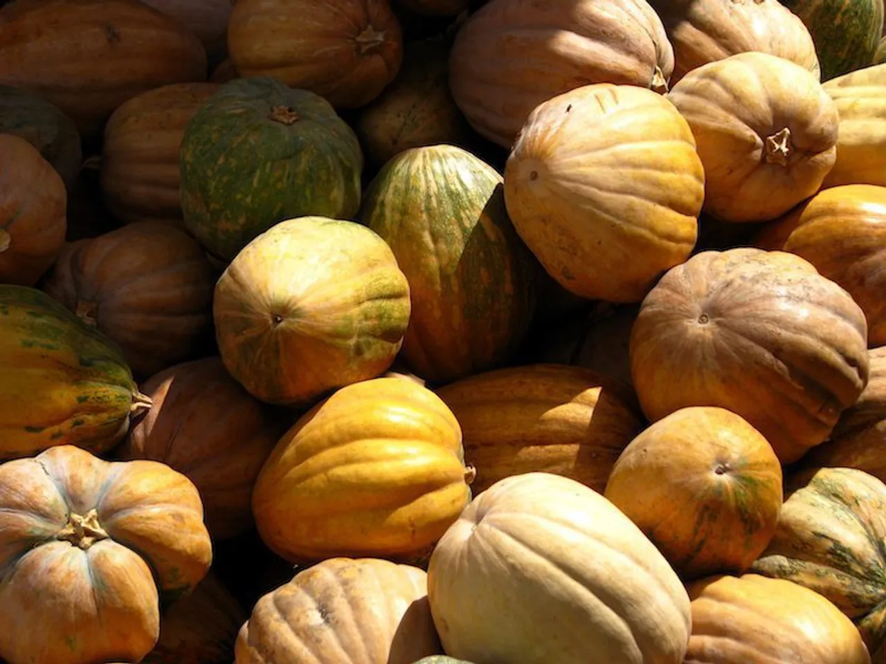 10 Healthy Reasons To Eat Pumpkins (Oh yeah)