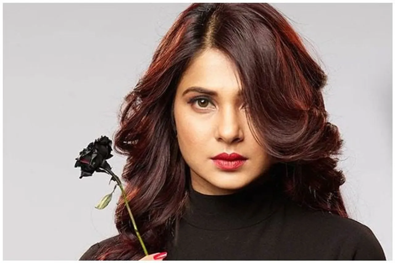 Jennifer Winget Divorce, Jennifer Winget on divorce