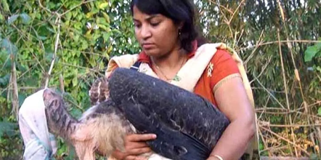Purnima Barman Wins Green Oscar For Saving Endangered Stork Species