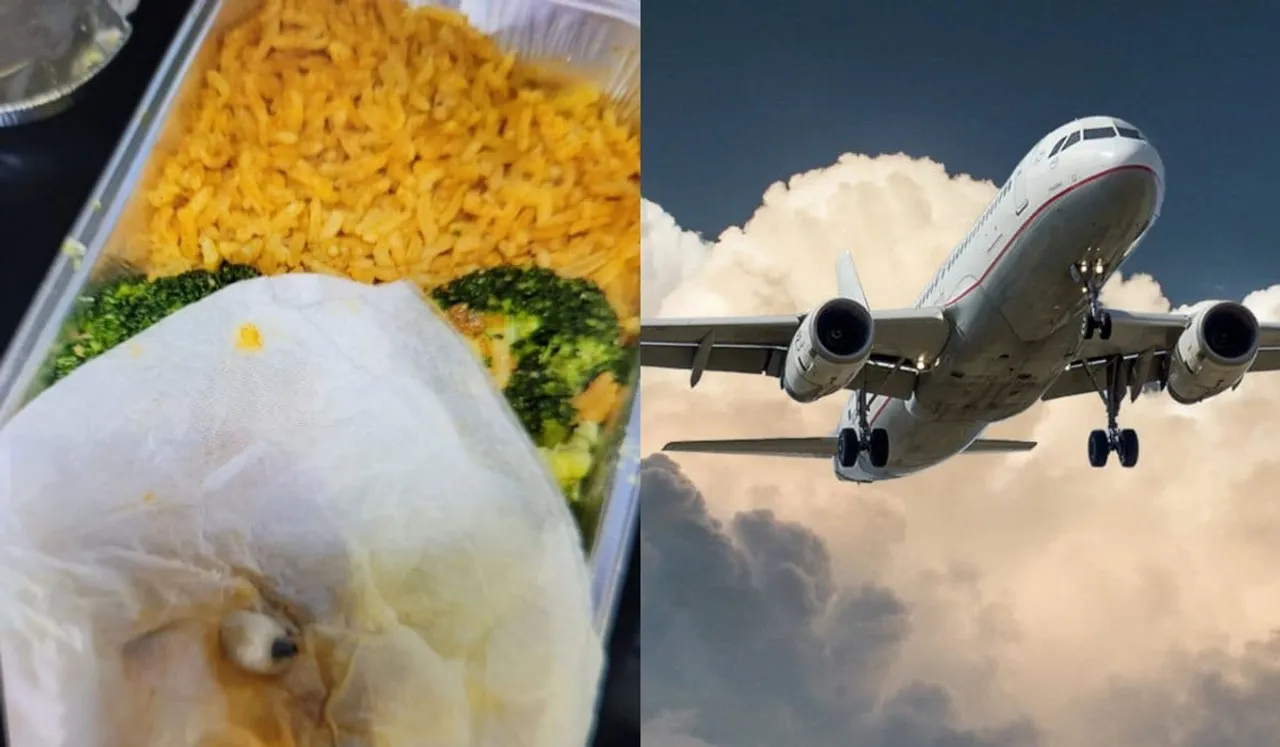 Netizens Horrified After Woman Finds Tooth In Airline Meal