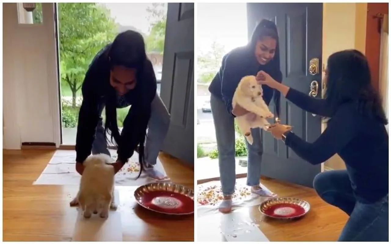 Puppy welcomed with tradition, Tiktok video, reactions on puppy video