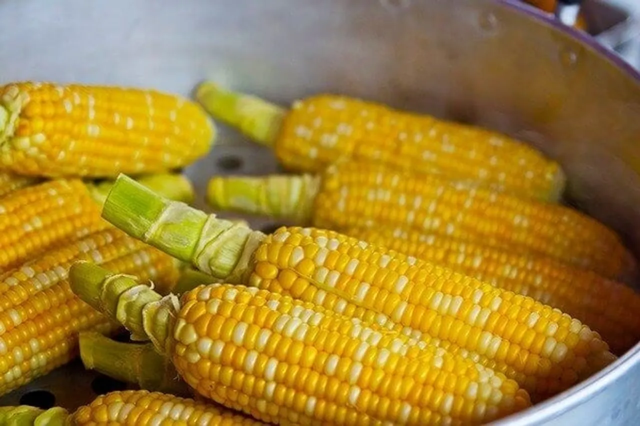 Health Benefits Corn