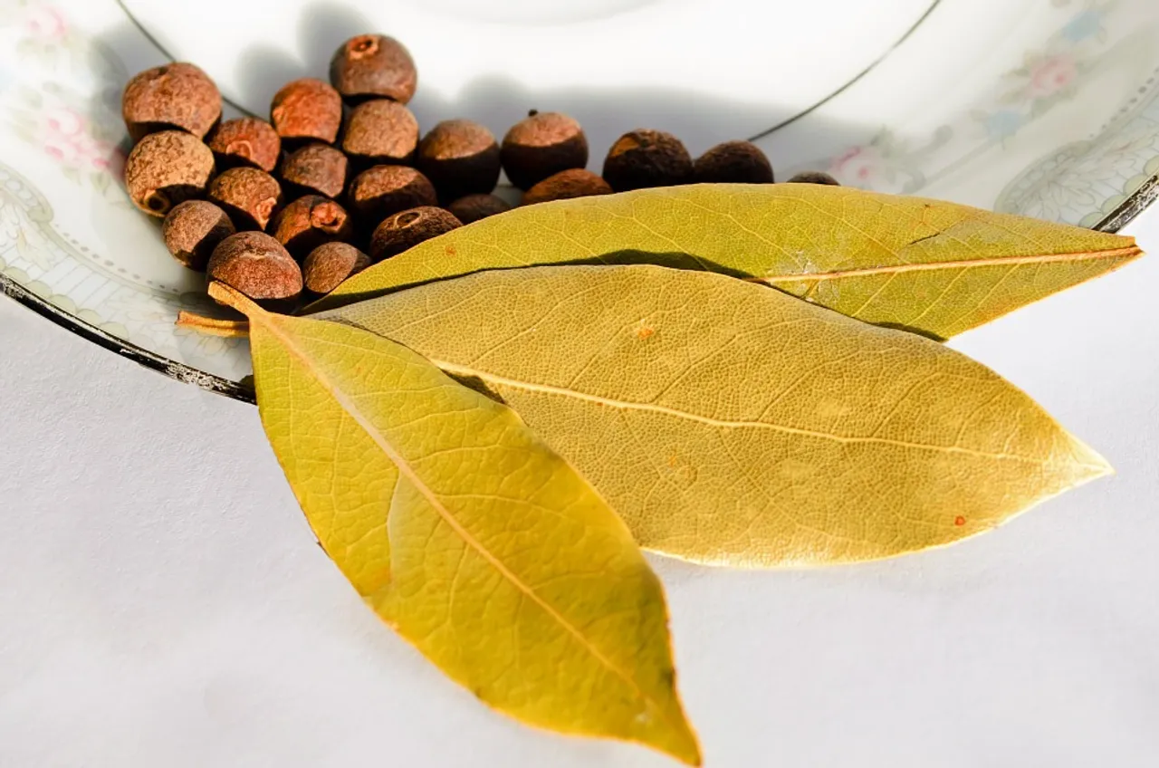 9 Amazing Health Benefits of Bay Leaves