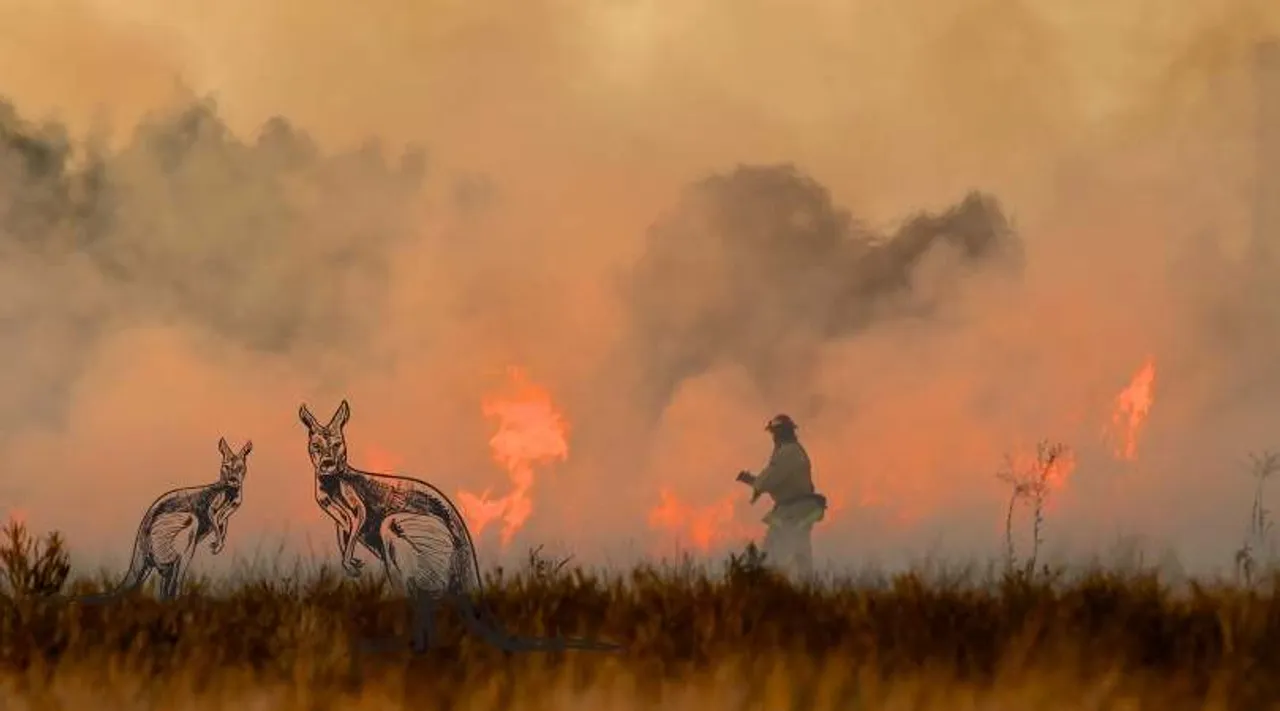 Fires Australia