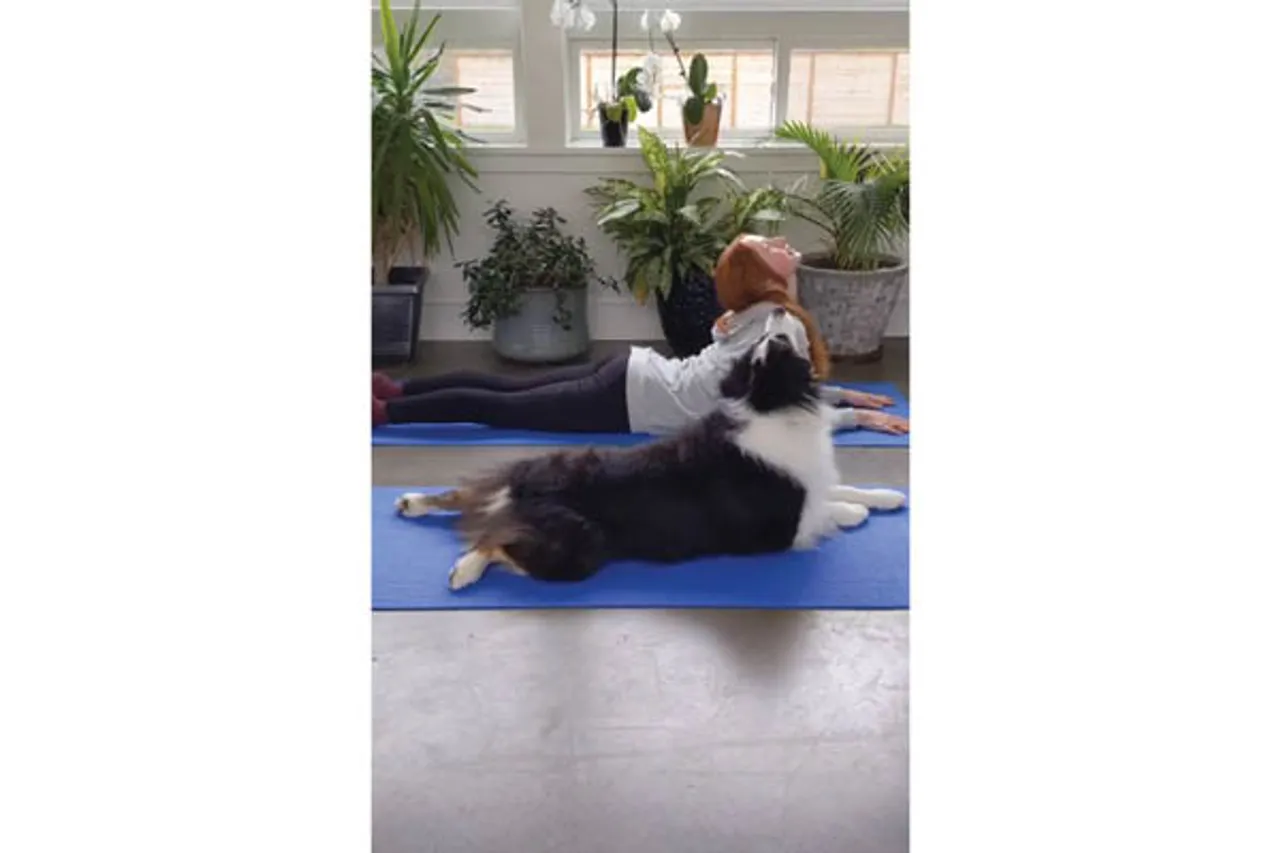 Viral Video Of Dog Doing Yoga With Her Owner Steals People's Hearts