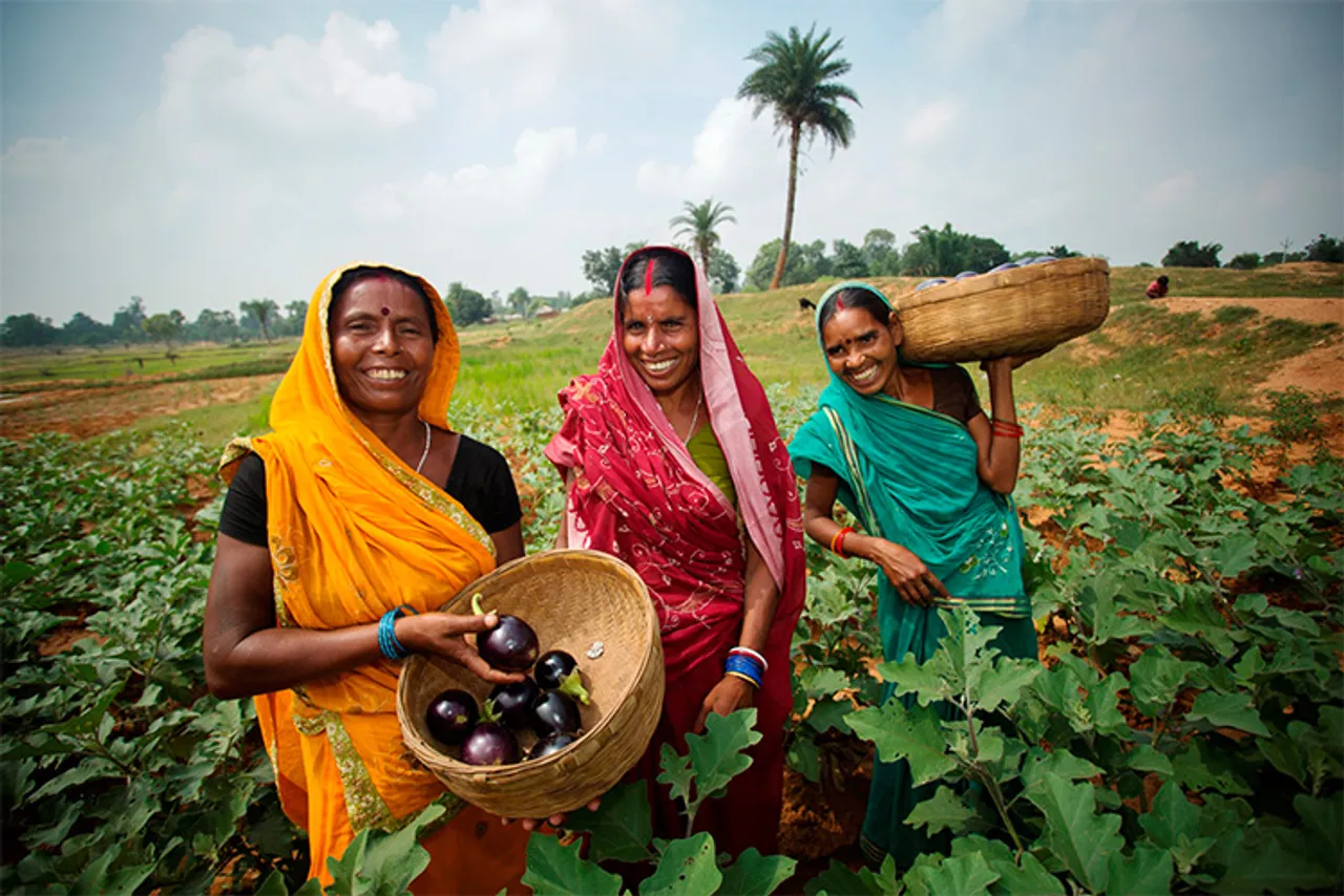 Women in agriculture, Women In Agri Business