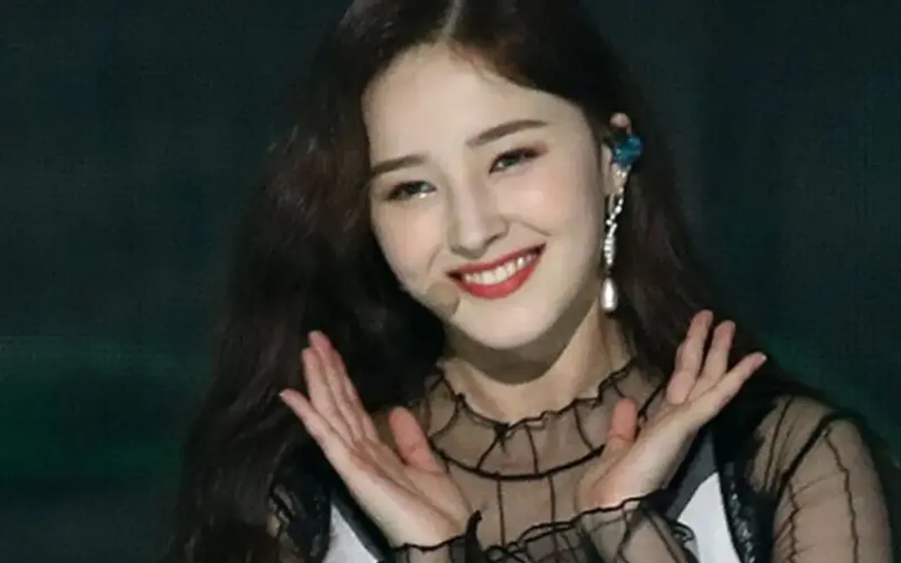 Momoland's Nancy Faces Online Harassment As Her Manipulated Pictures Get Spread