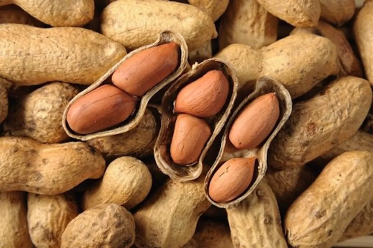 Why peanuts are wonder nuts?