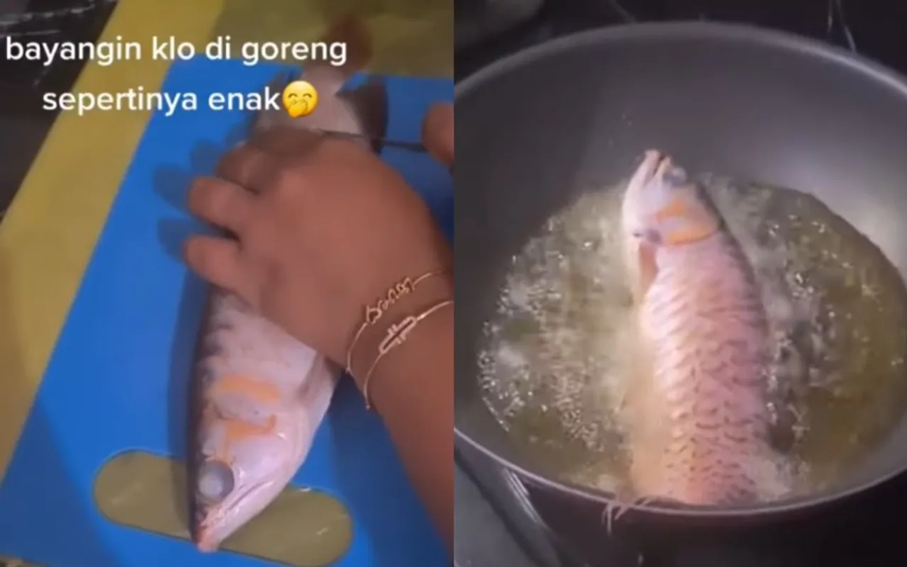 wife cooks pet fish