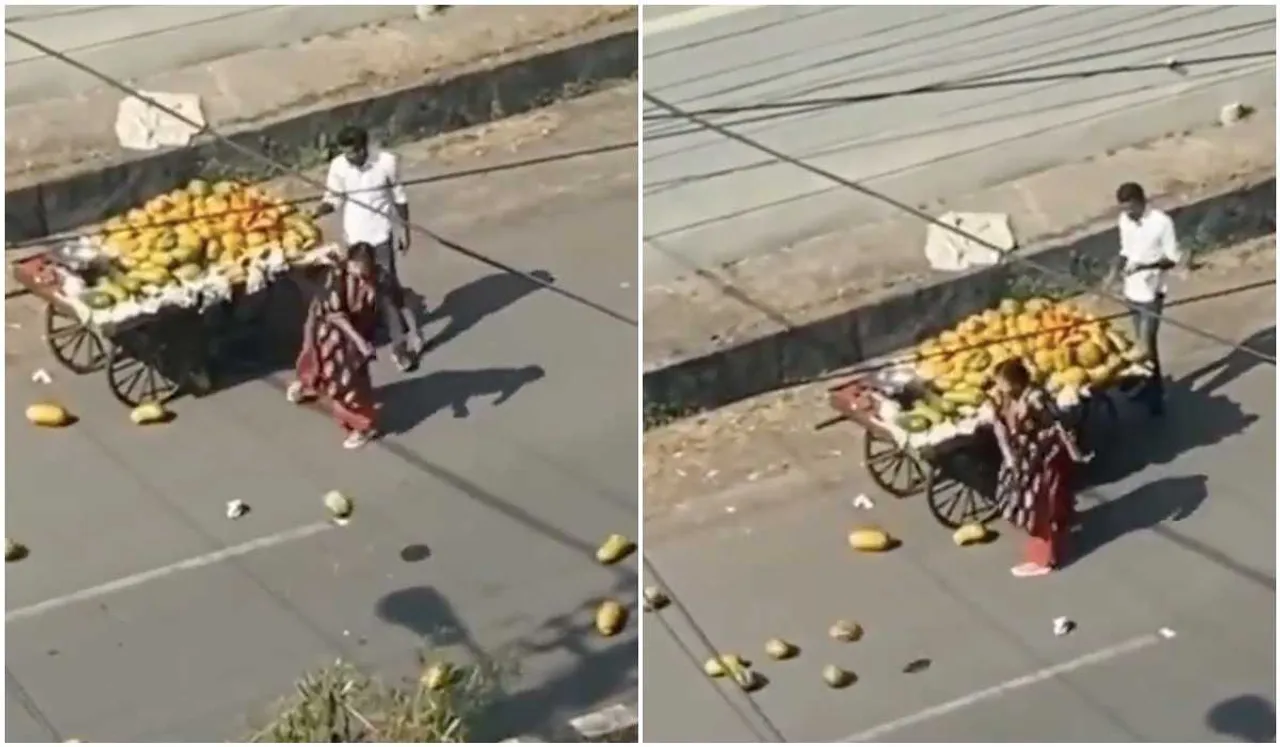 Viral Video: Bhopal Woman Throws Vendor's Fruits On Road After Cart Brushes With Her Car