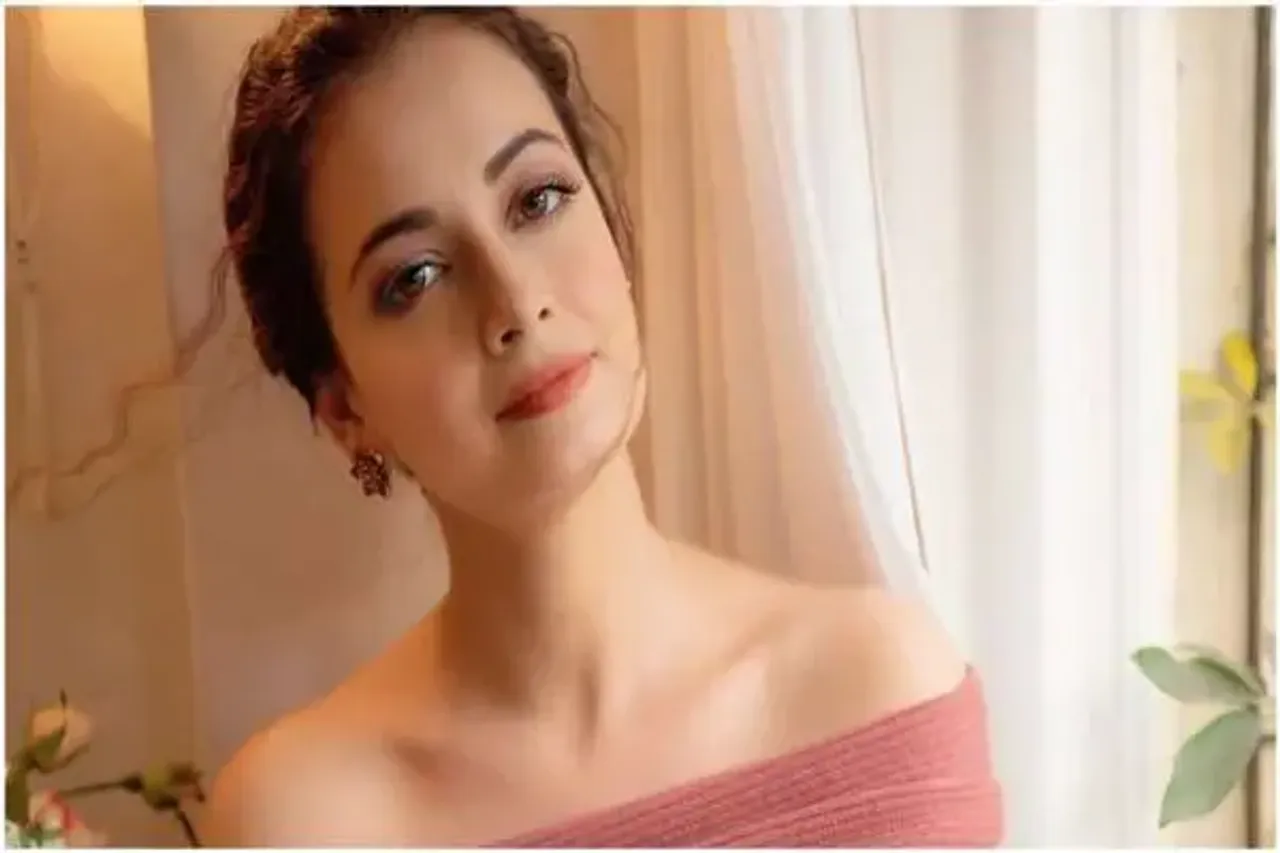 "This Is How Older Men Increase Their Shelf Life" - Dia Mirza Is Upset And Here's Why